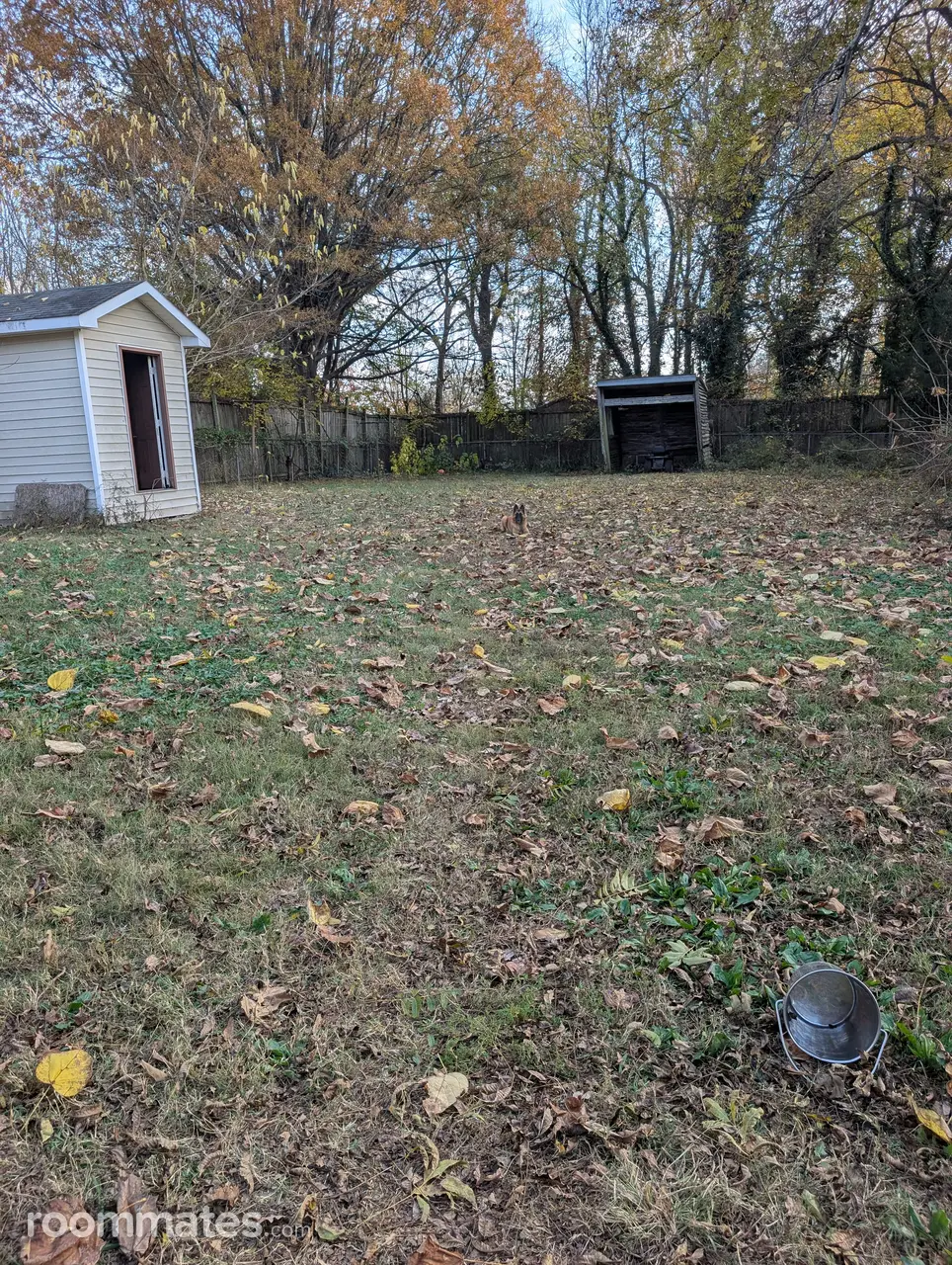 Profile photo 9 of 12