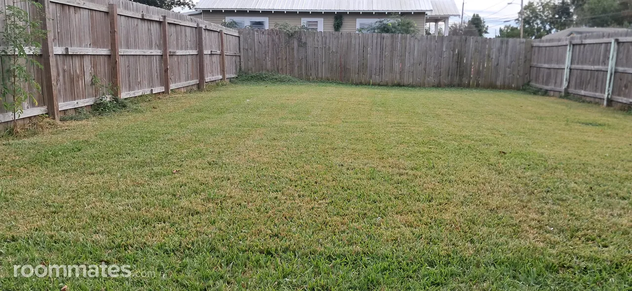 Profile photo 6 of 11