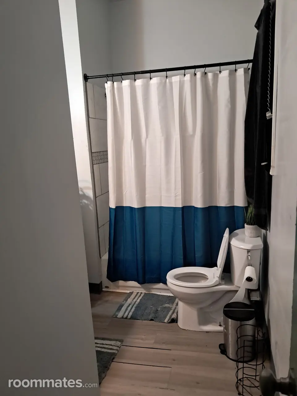 Profile photo 1 of 11