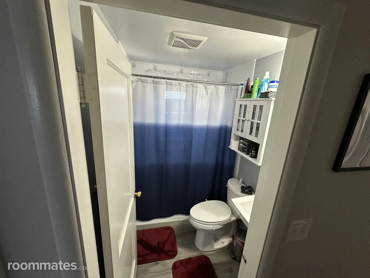 Profile photo 7 of 11