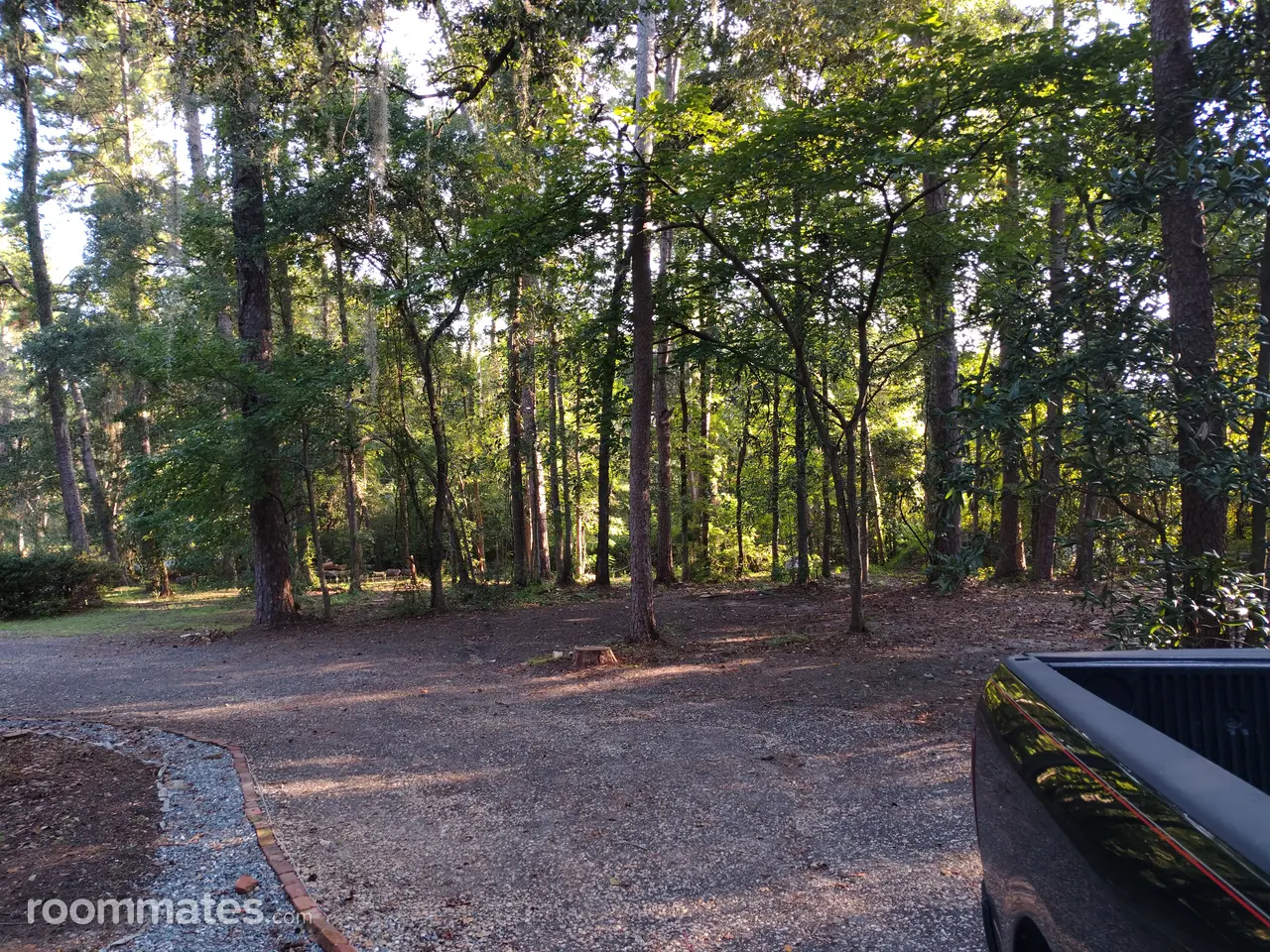 Profile photo 4 of 6