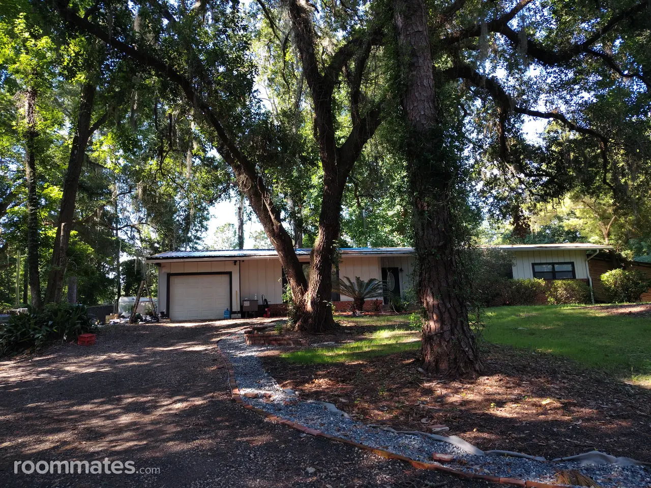 Profile photo 5 of 6