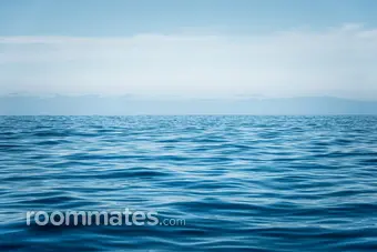 Roommate looking Midlothian, VA, $1200