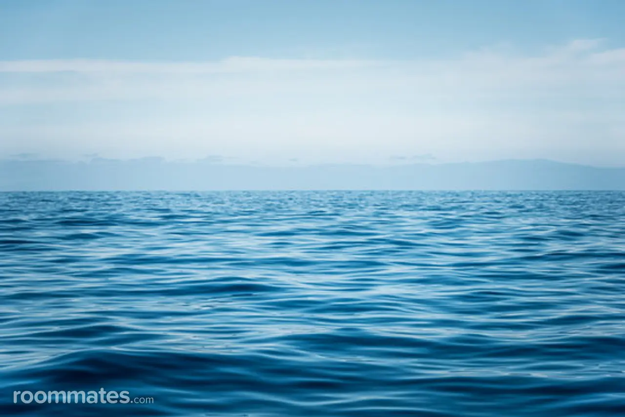 Profile photo 1 of 1