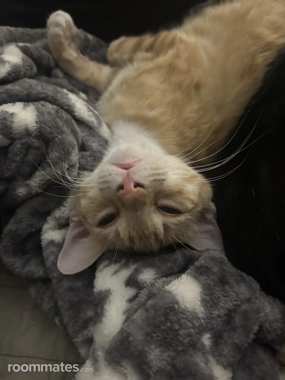 Profile photo 6 of 9