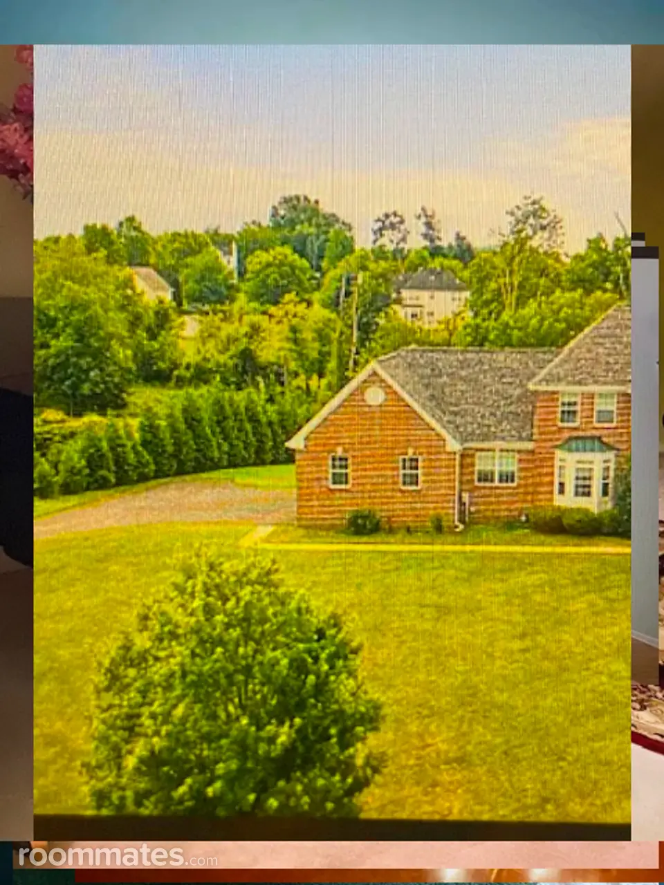 Profile photo 8 of 10