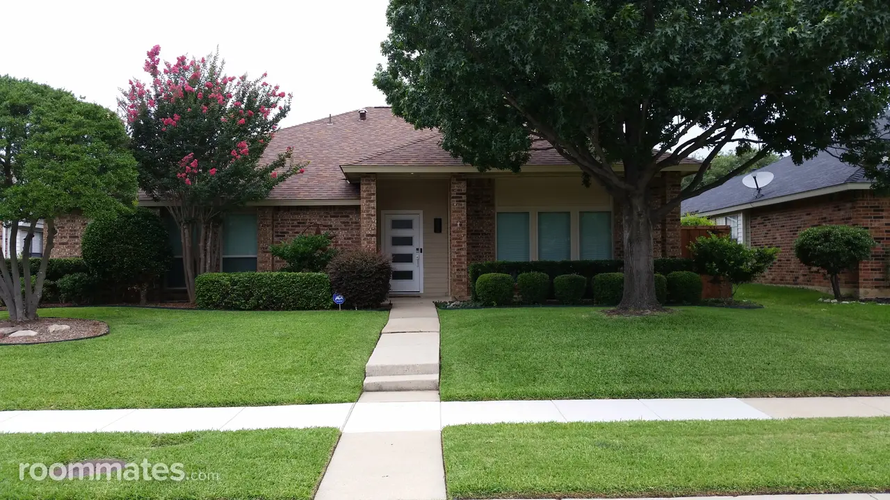 Profile photo 1 of 11