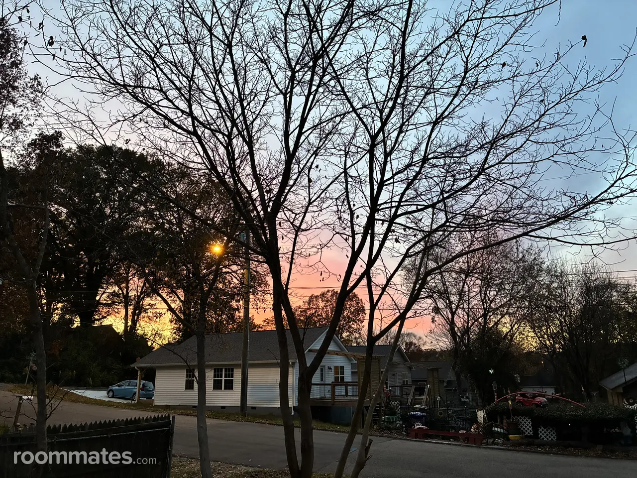 Profile photo 4 of 8