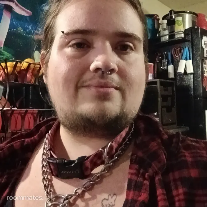 Roommate looking Salem, OR, $700