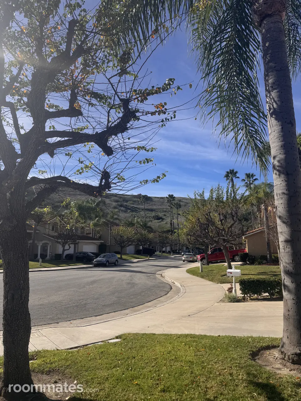 Profile photo 8 of 9