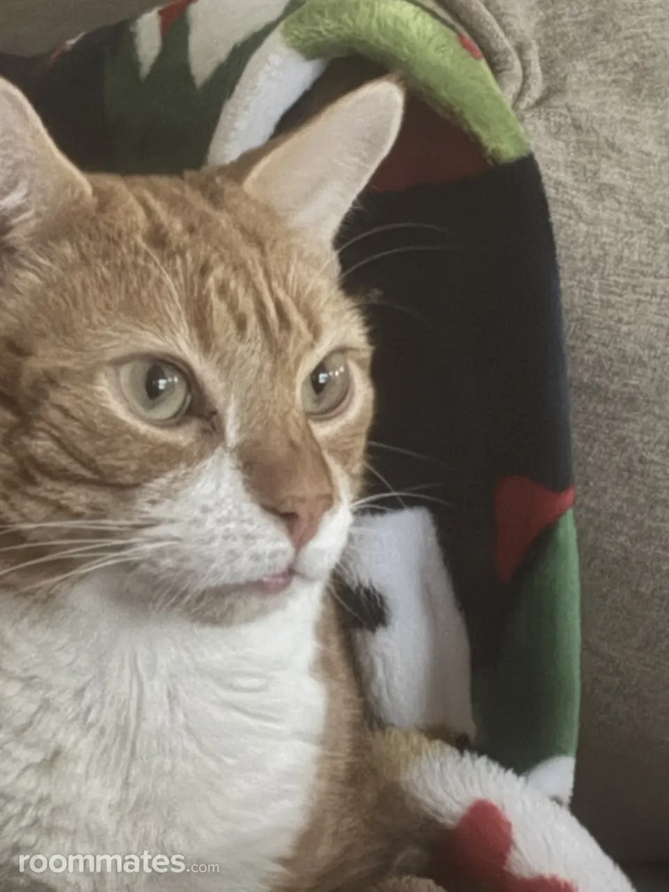 Profile photo 2 of 2