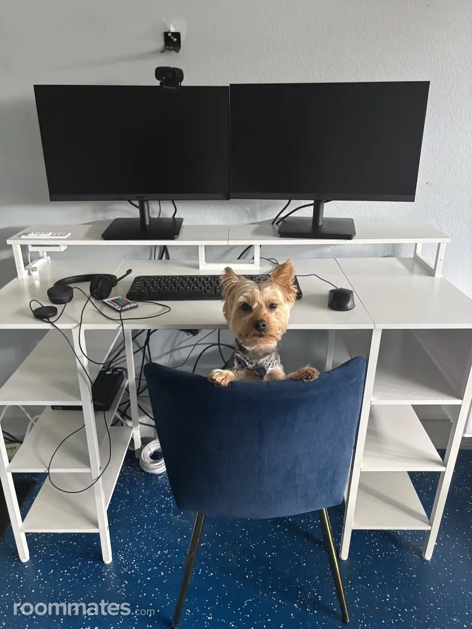 Profile photo 5 of 5