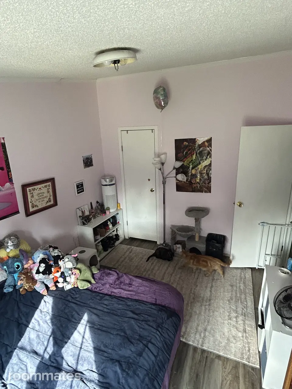 Profile photo 6 of 11