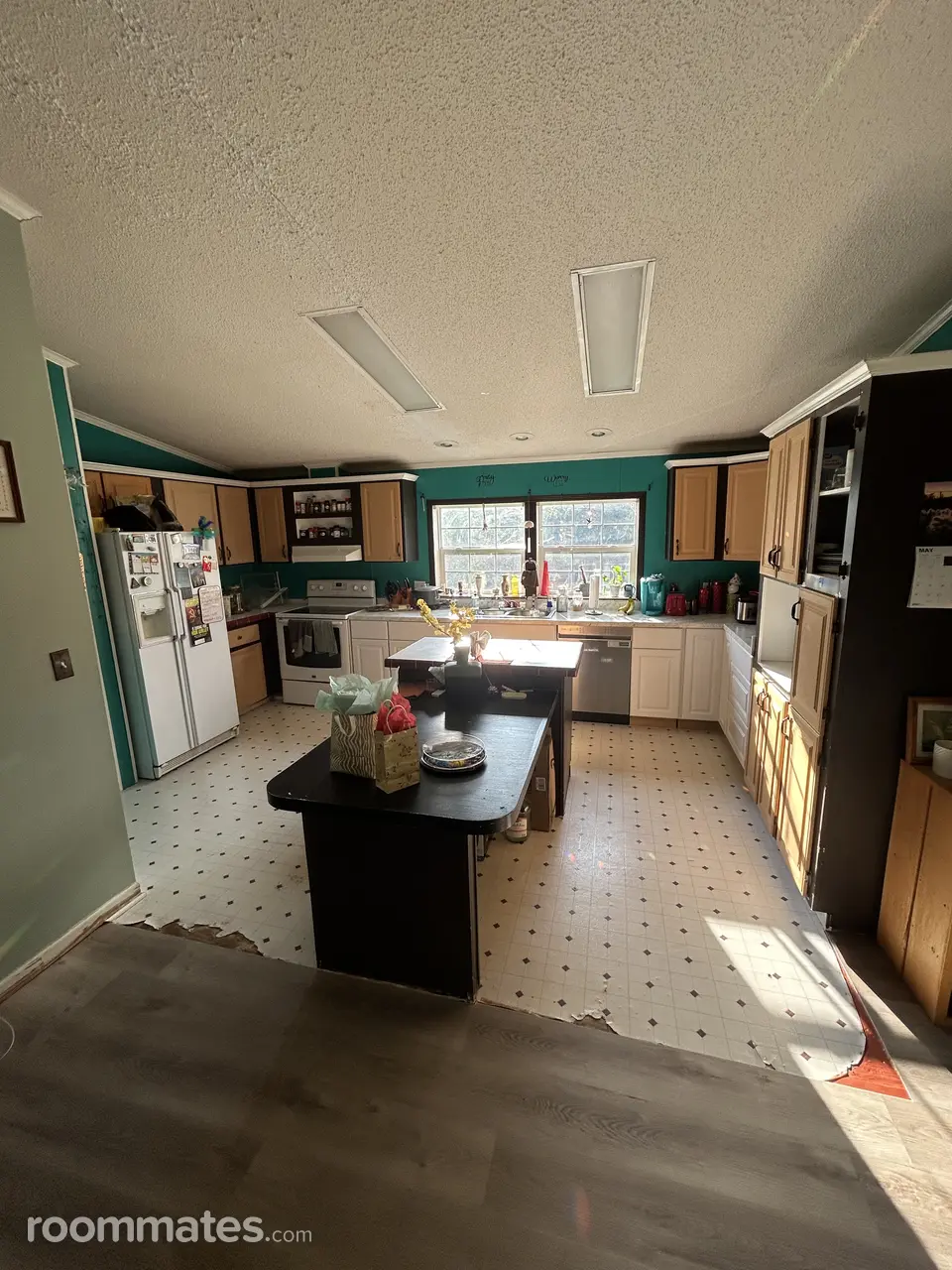 Profile photo 2 of 11