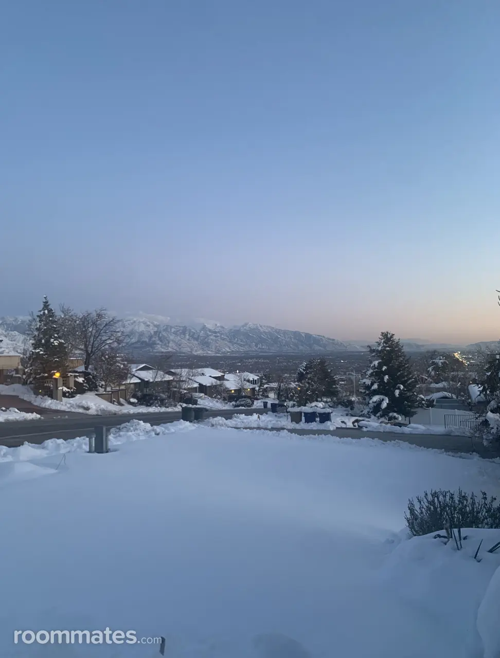 Profile photo 4 of 7