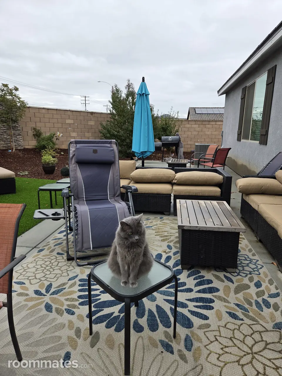 Profile photo 6 of 8