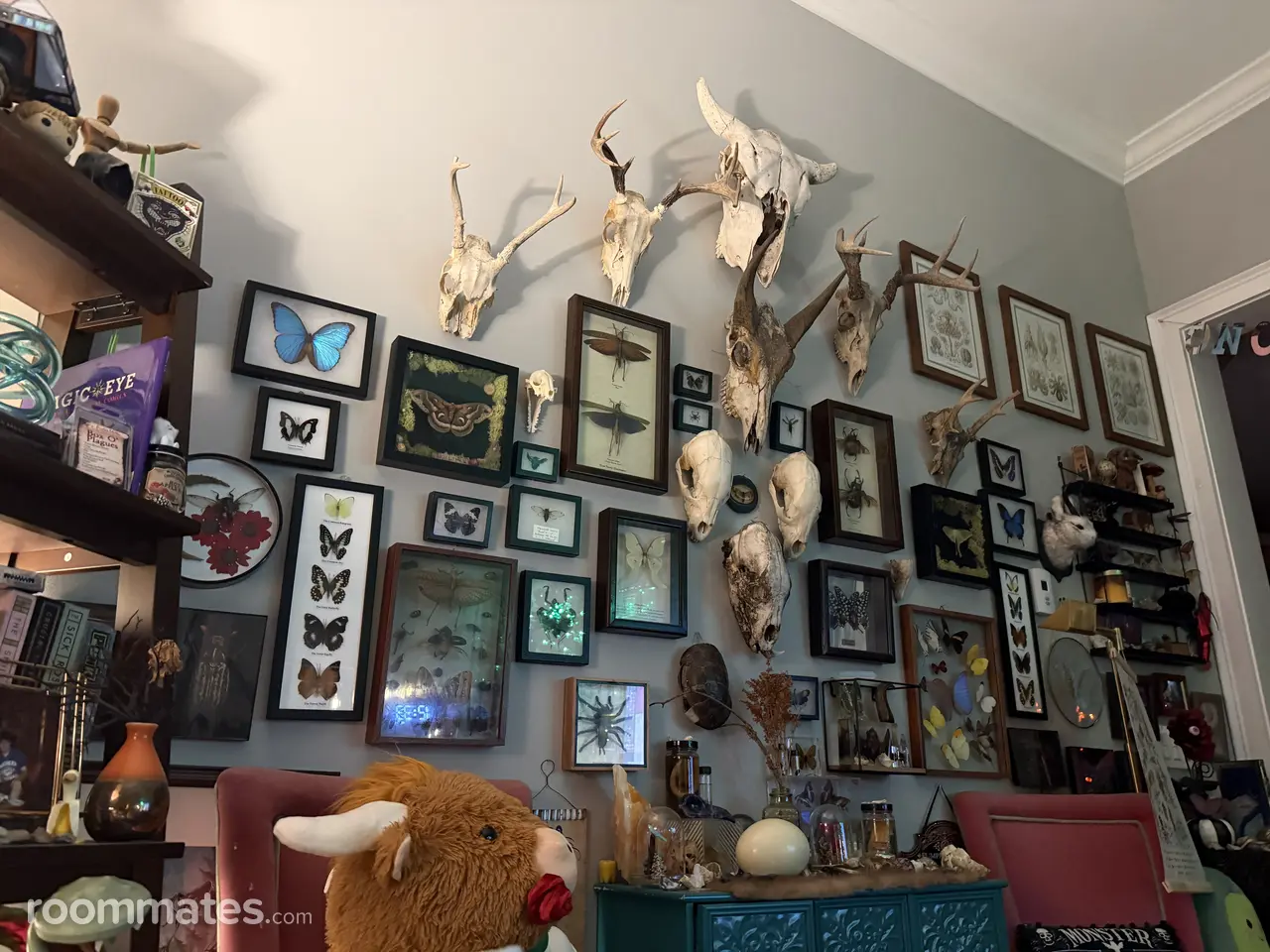 Profile photo 9 of 11