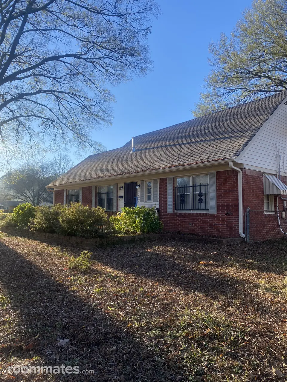 Profile photo 8 of 10