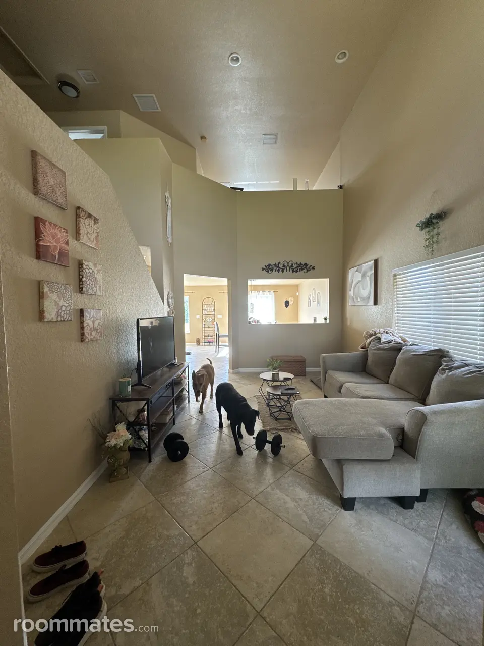 Profile photo 13 of 16