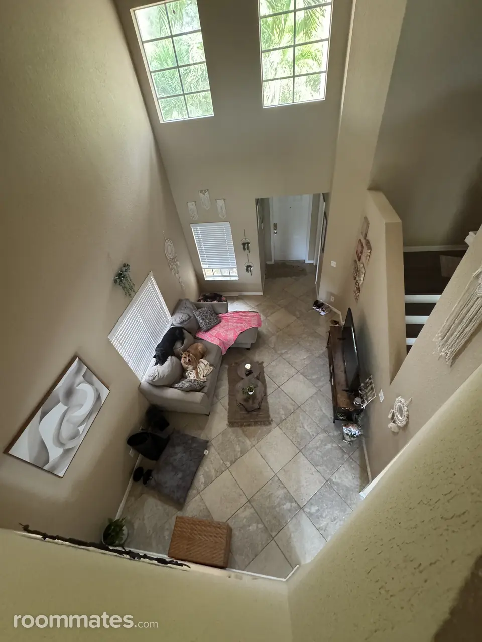 Profile photo 2 of 16