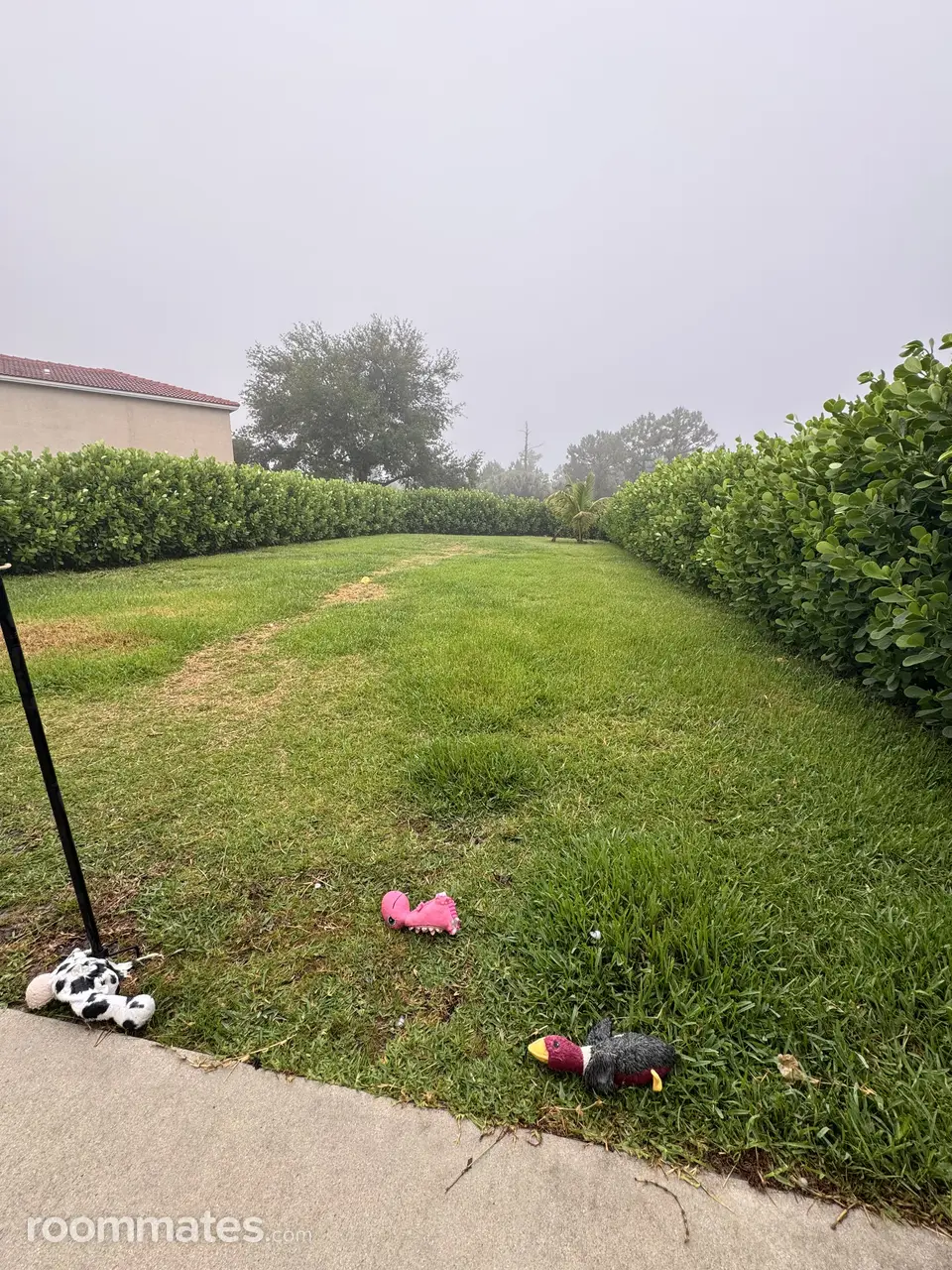 Profile photo 11 of 16