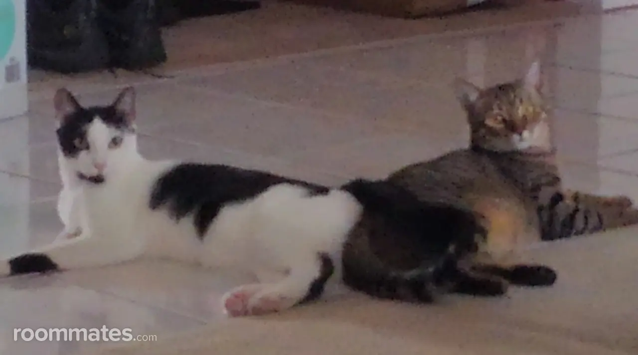 Profile photo 4 of 5