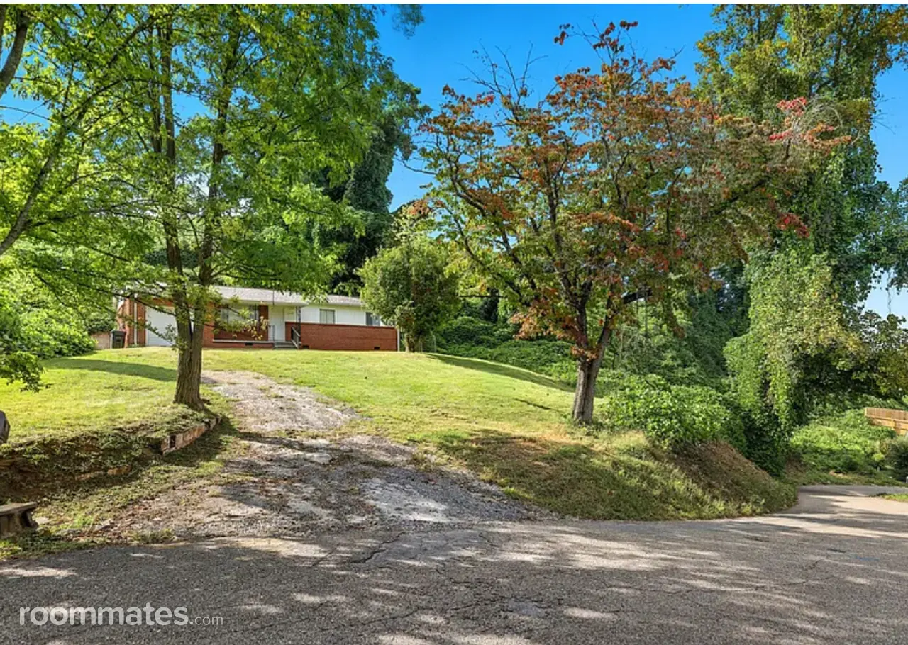 Profile photo 4 of 6