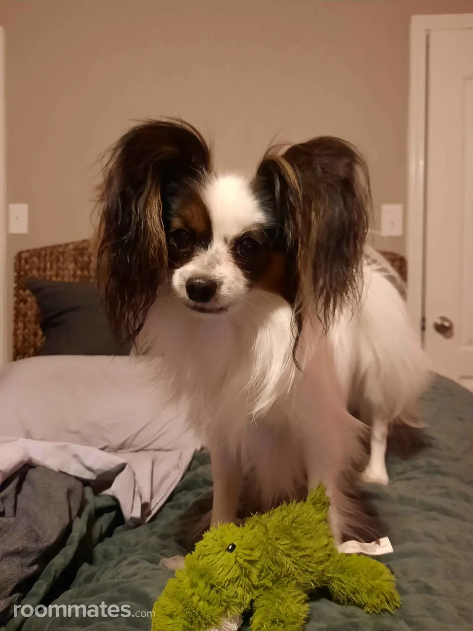 Profile photo 3 of 4