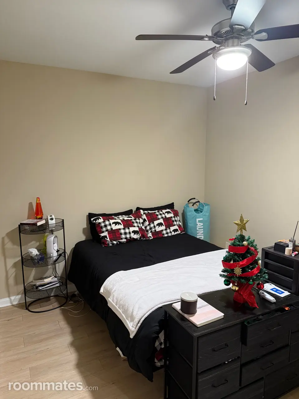 Profile photo 7 of 8