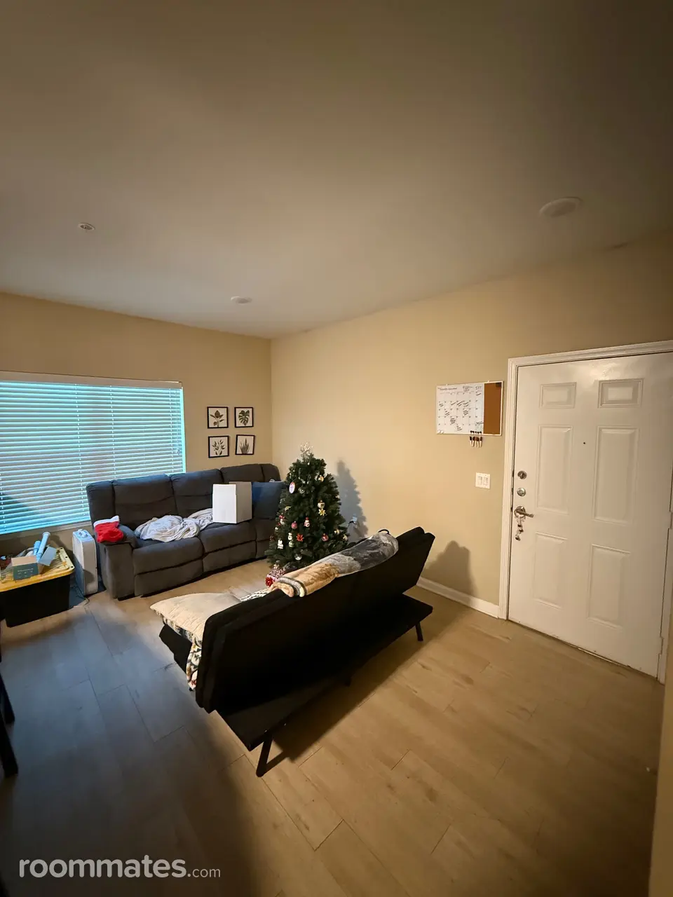 Profile photo 1 of 8