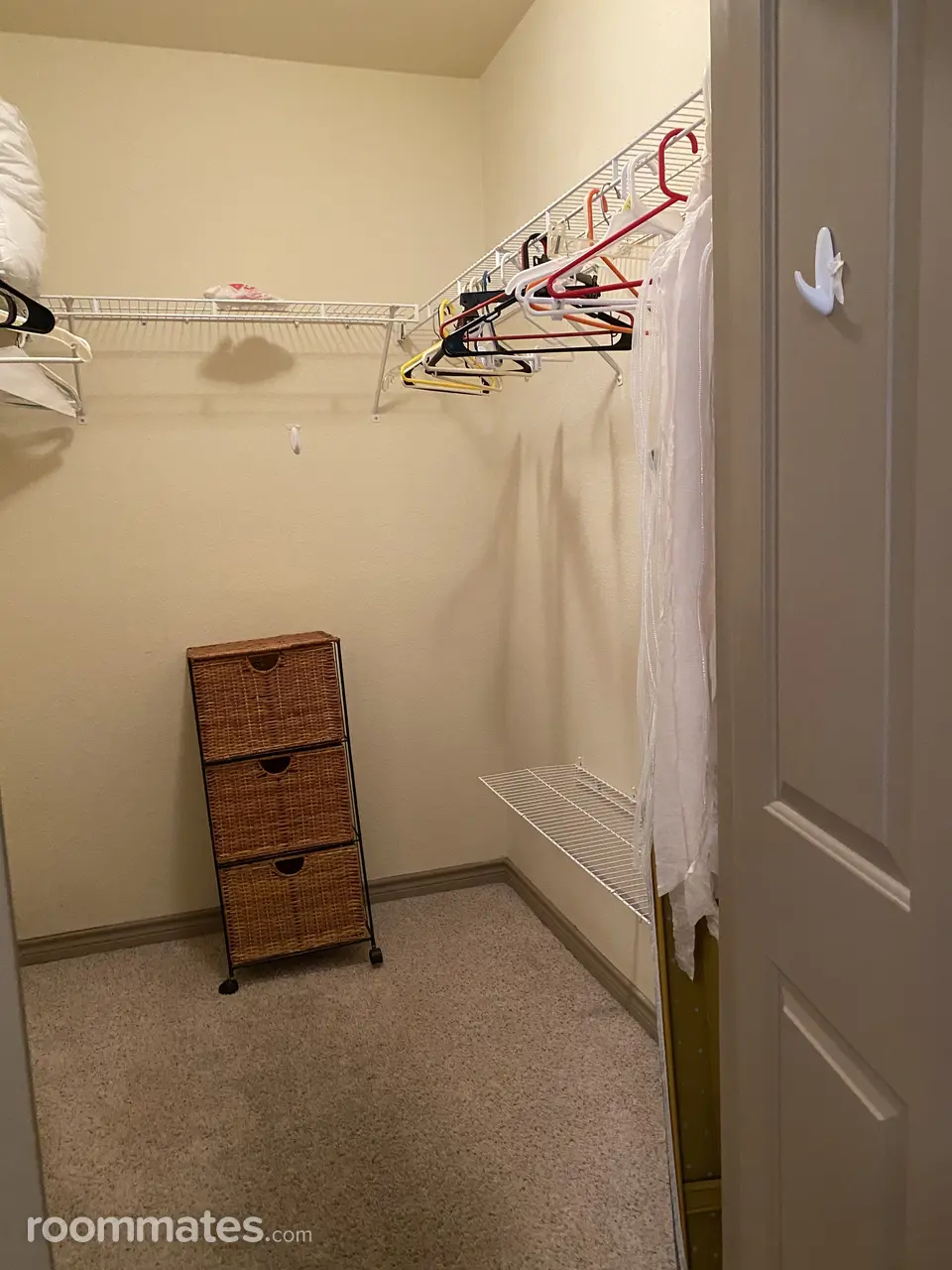 Profile photo 7 of 11