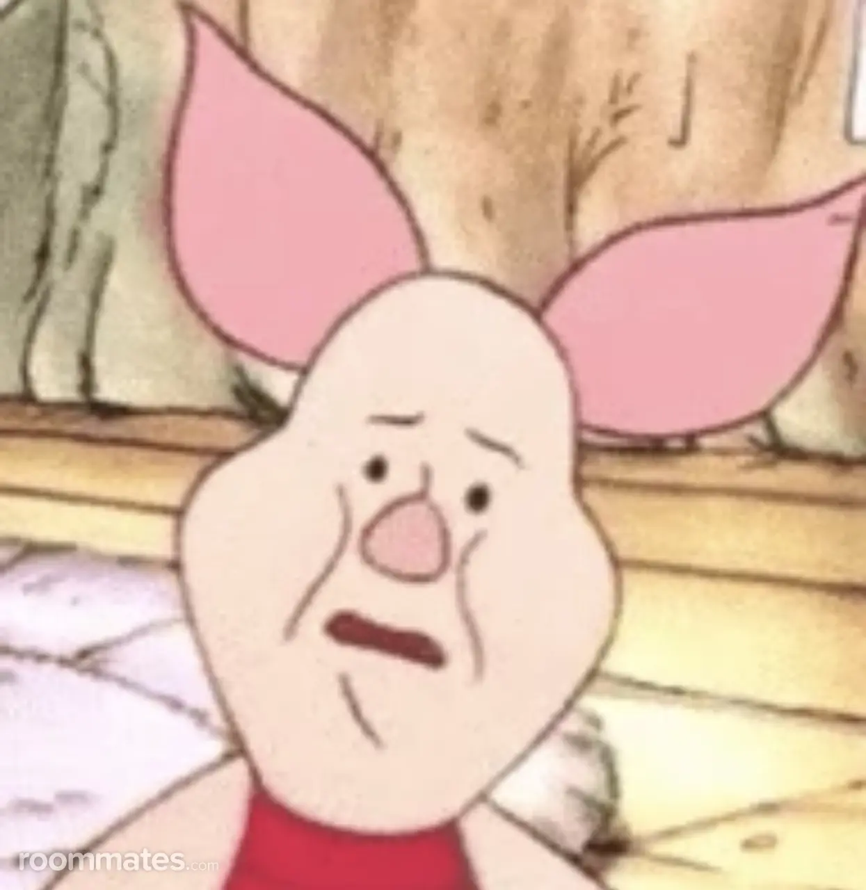 Profile photo 1 of 1