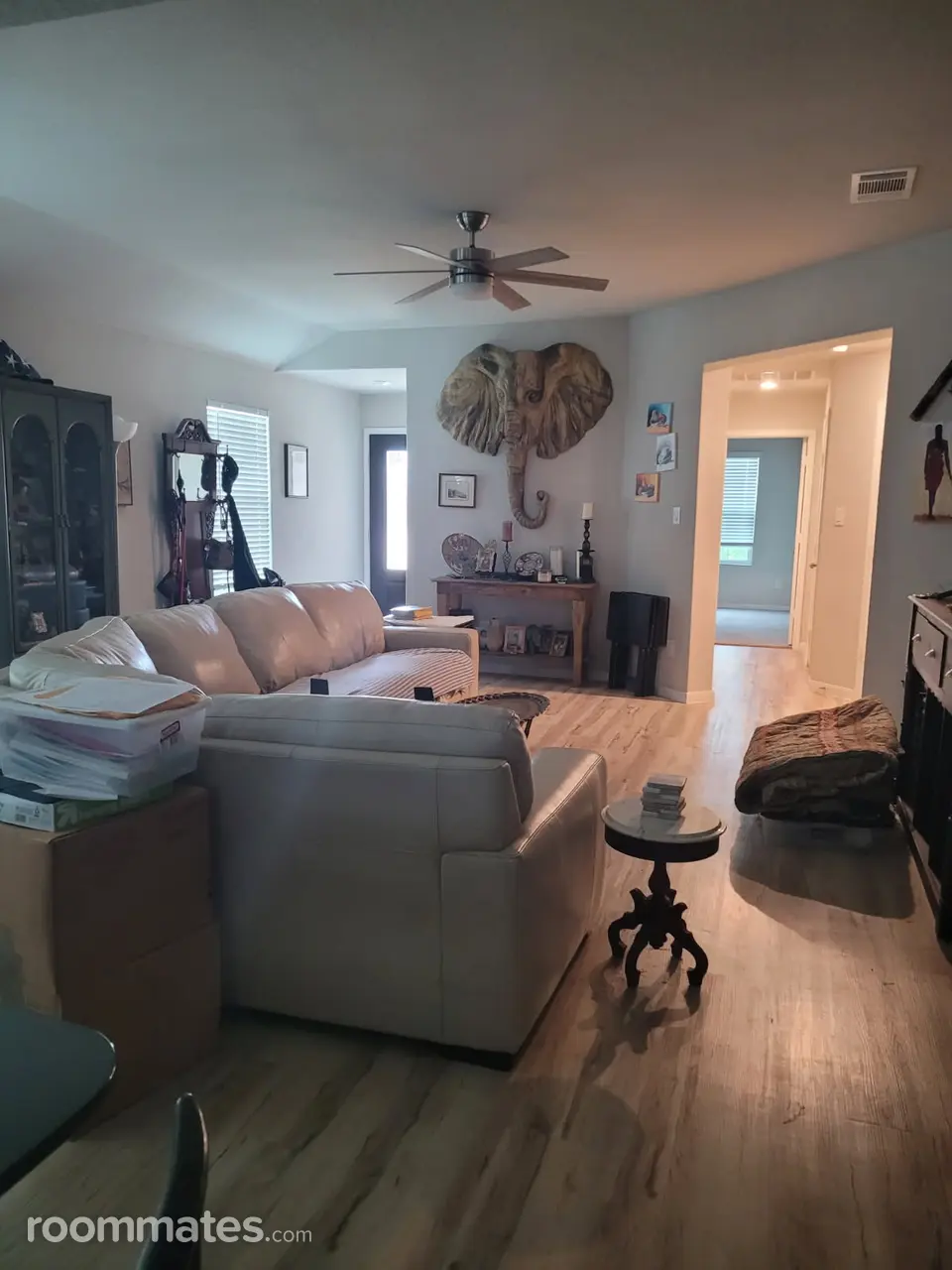 Profile photo 3 of 11