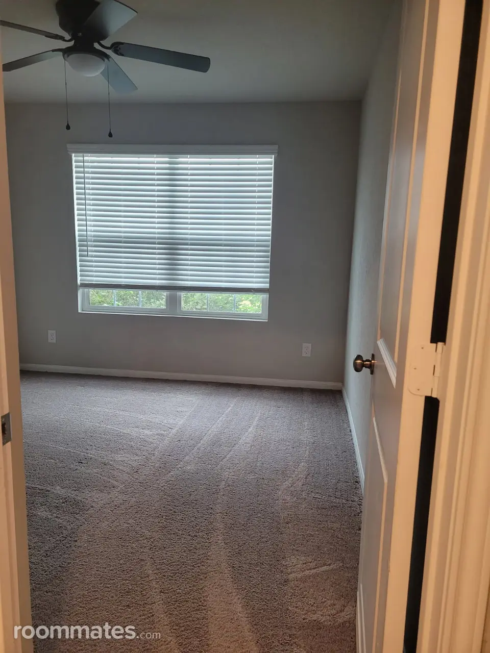 Profile photo 1 of 11