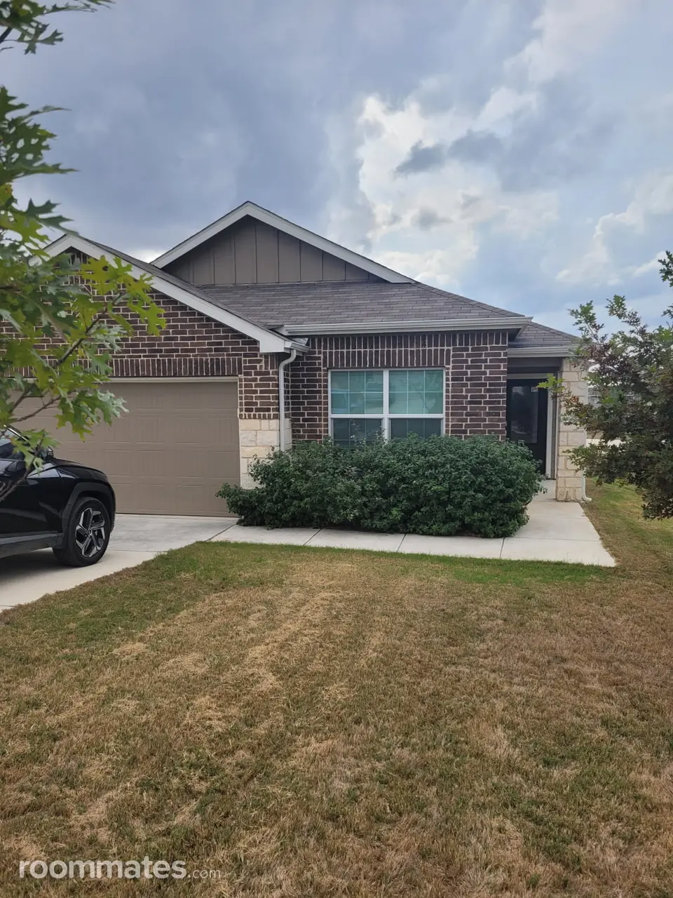 Profile photo 2 of 11