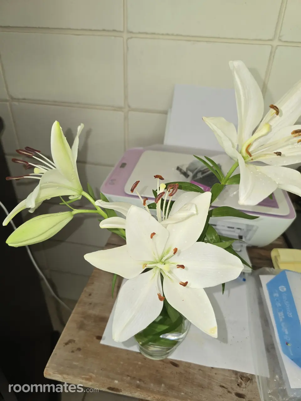 Profile photo 9 of 11