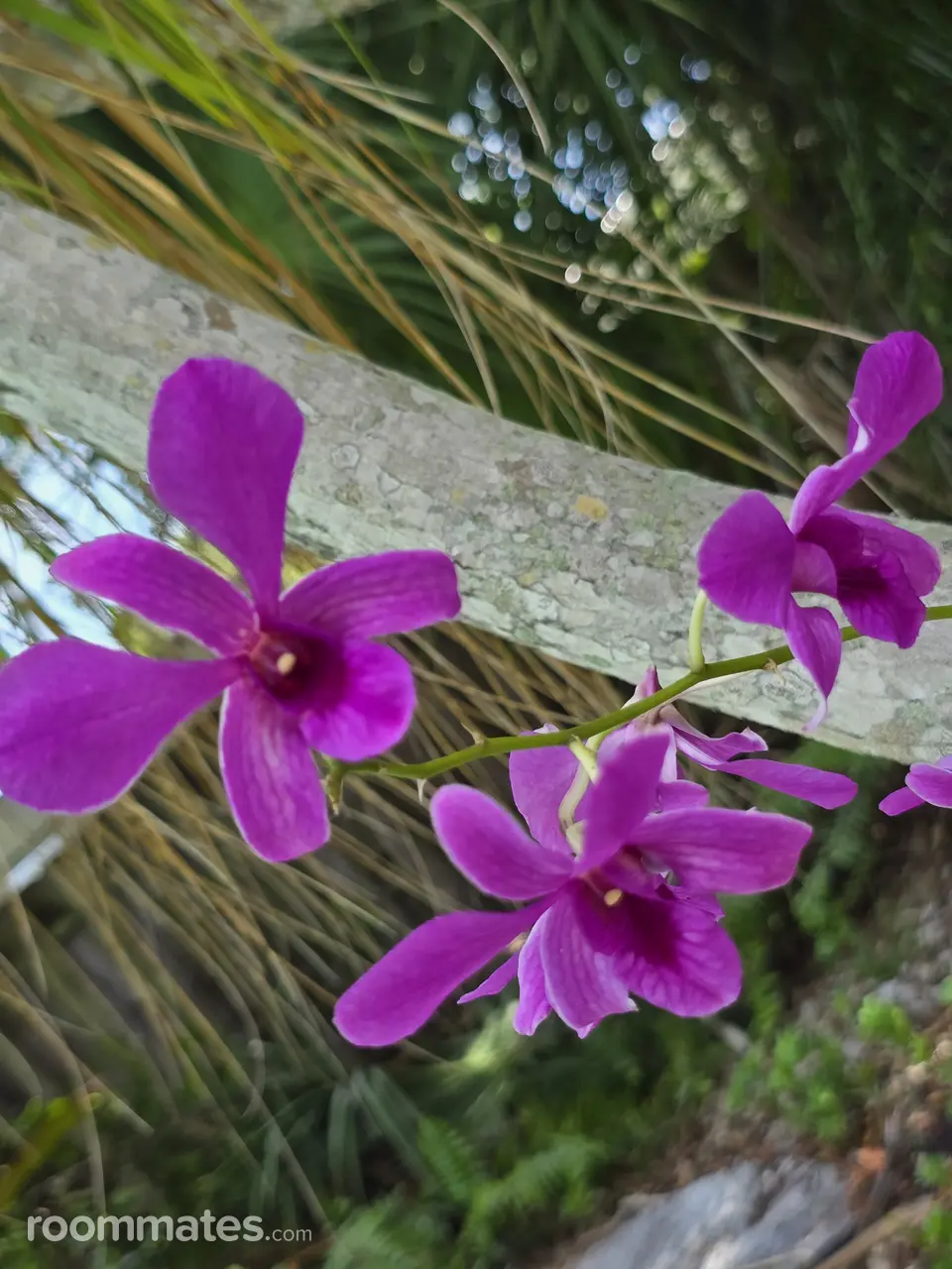 Profile photo 8 of 11