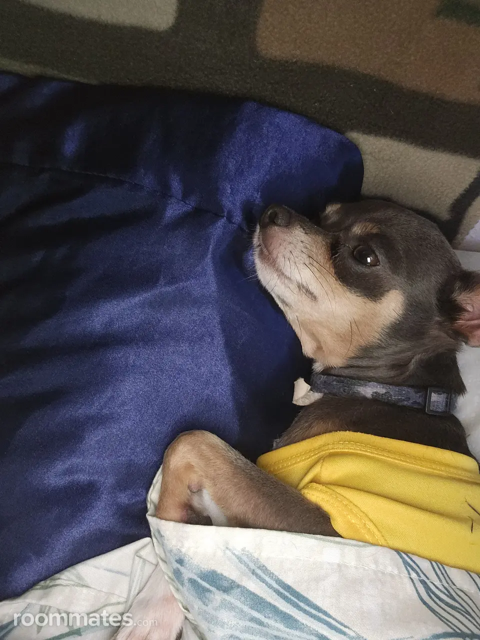 Profile photo 7 of 11