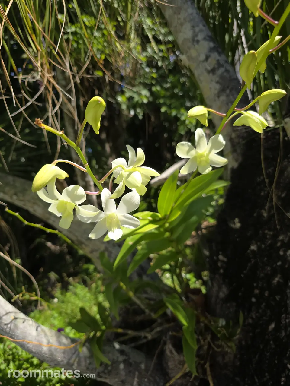 Profile photo 10 of 11