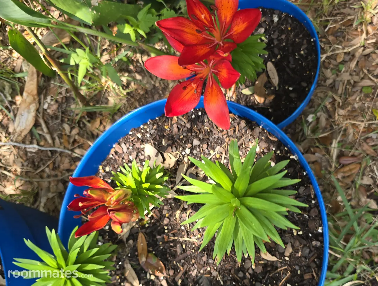 Profile photo 11 of 11