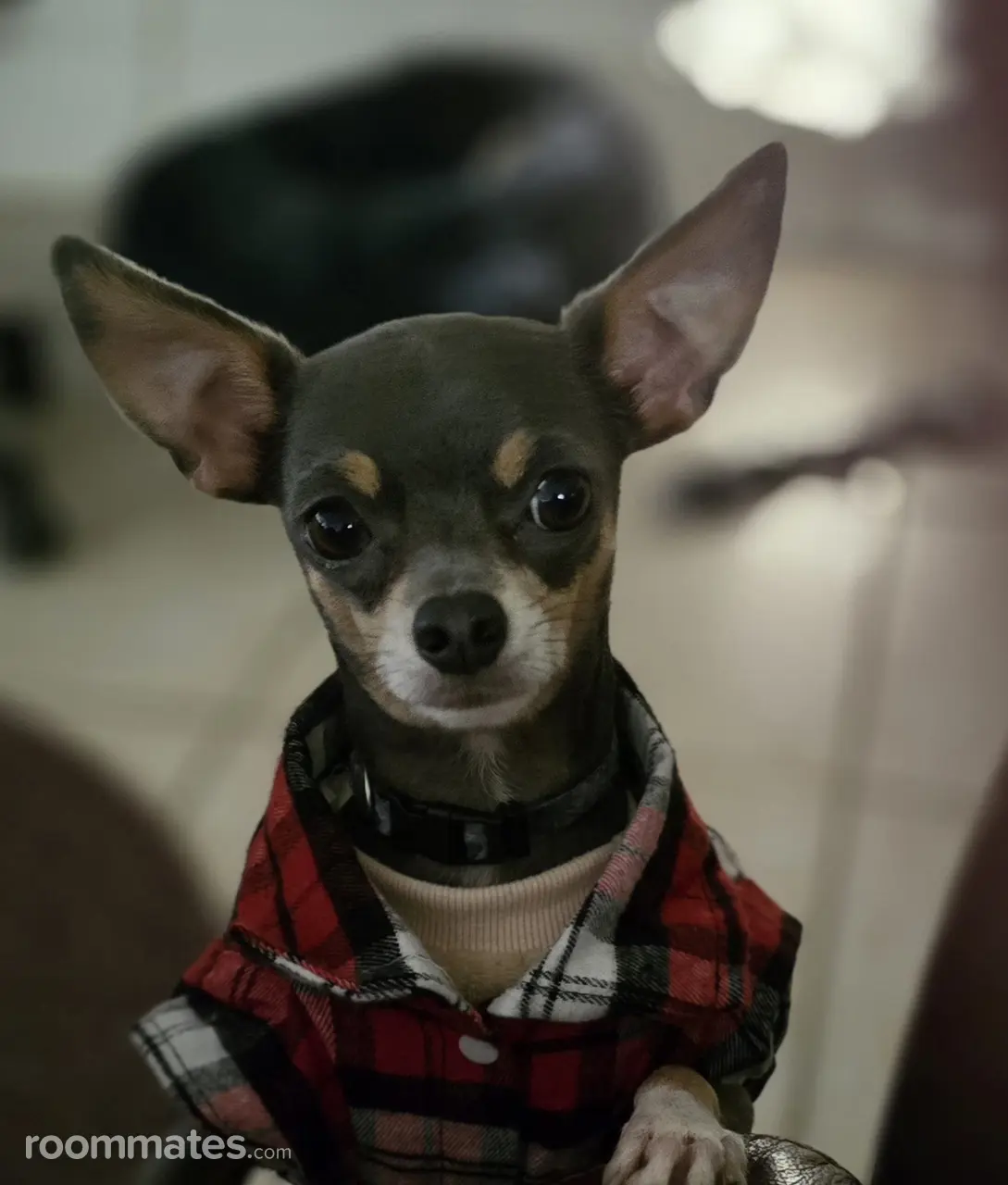 Profile photo 5 of 11