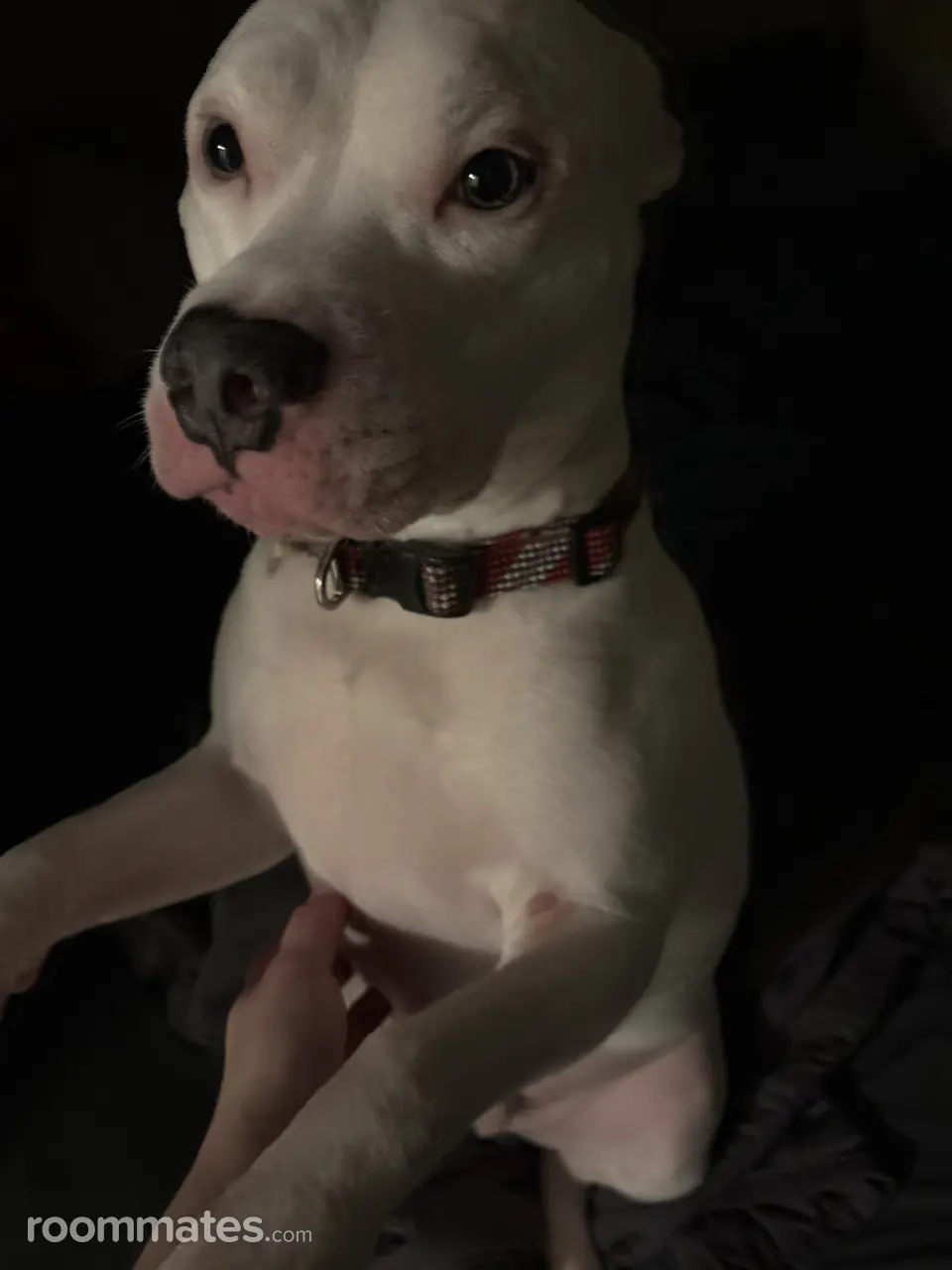 Profile photo 2 of 4