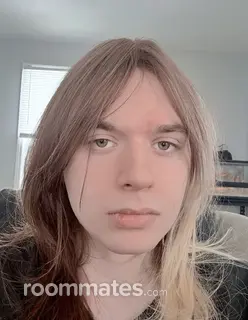 Roommate looking Mentor OH, $700