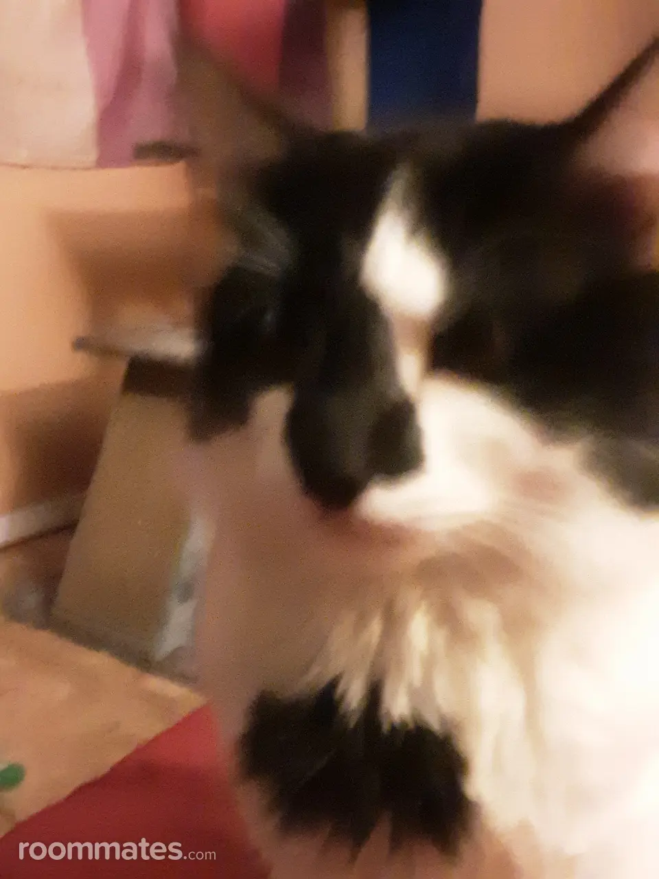 Profile photo 1 of 1