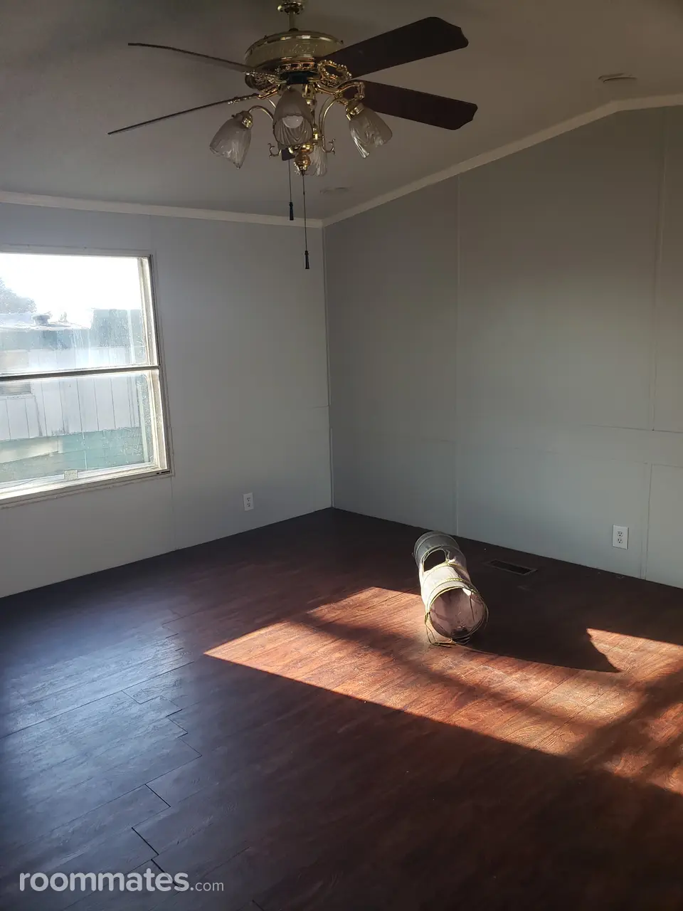 Profile photo 2 of 10