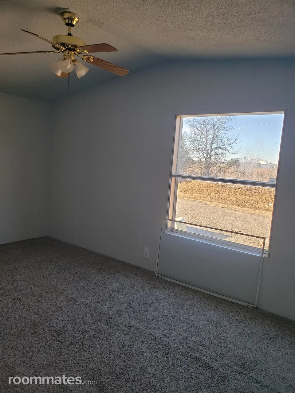 Profile photo 5 of 10