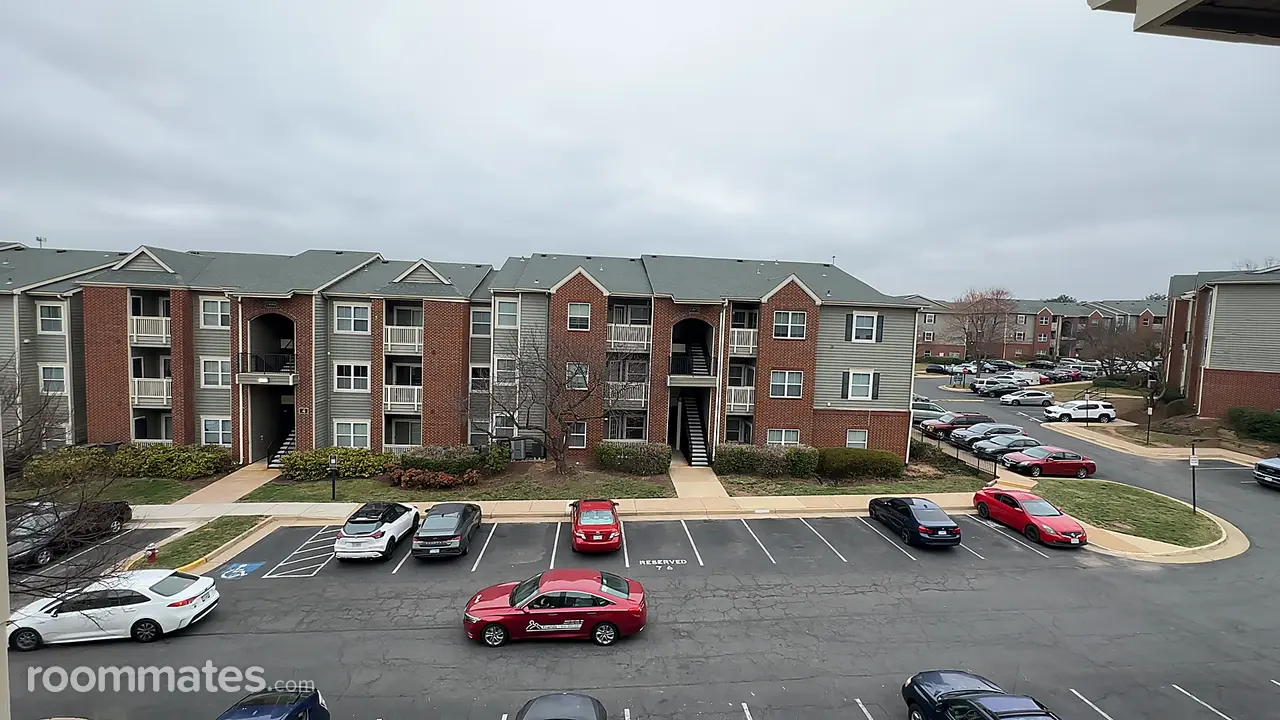 Profile photo 1 of 12