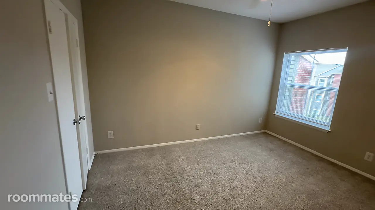 Profile photo 6 of 12