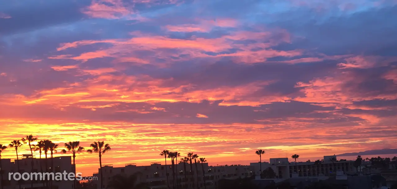 Profile photo 4 of 6