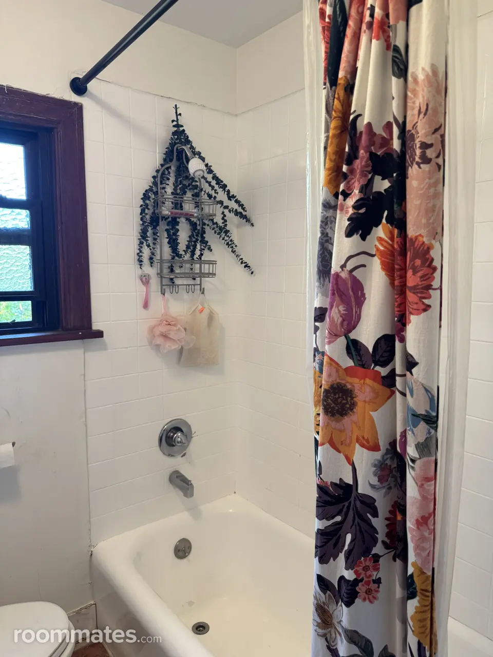 Profile photo 4 of 11